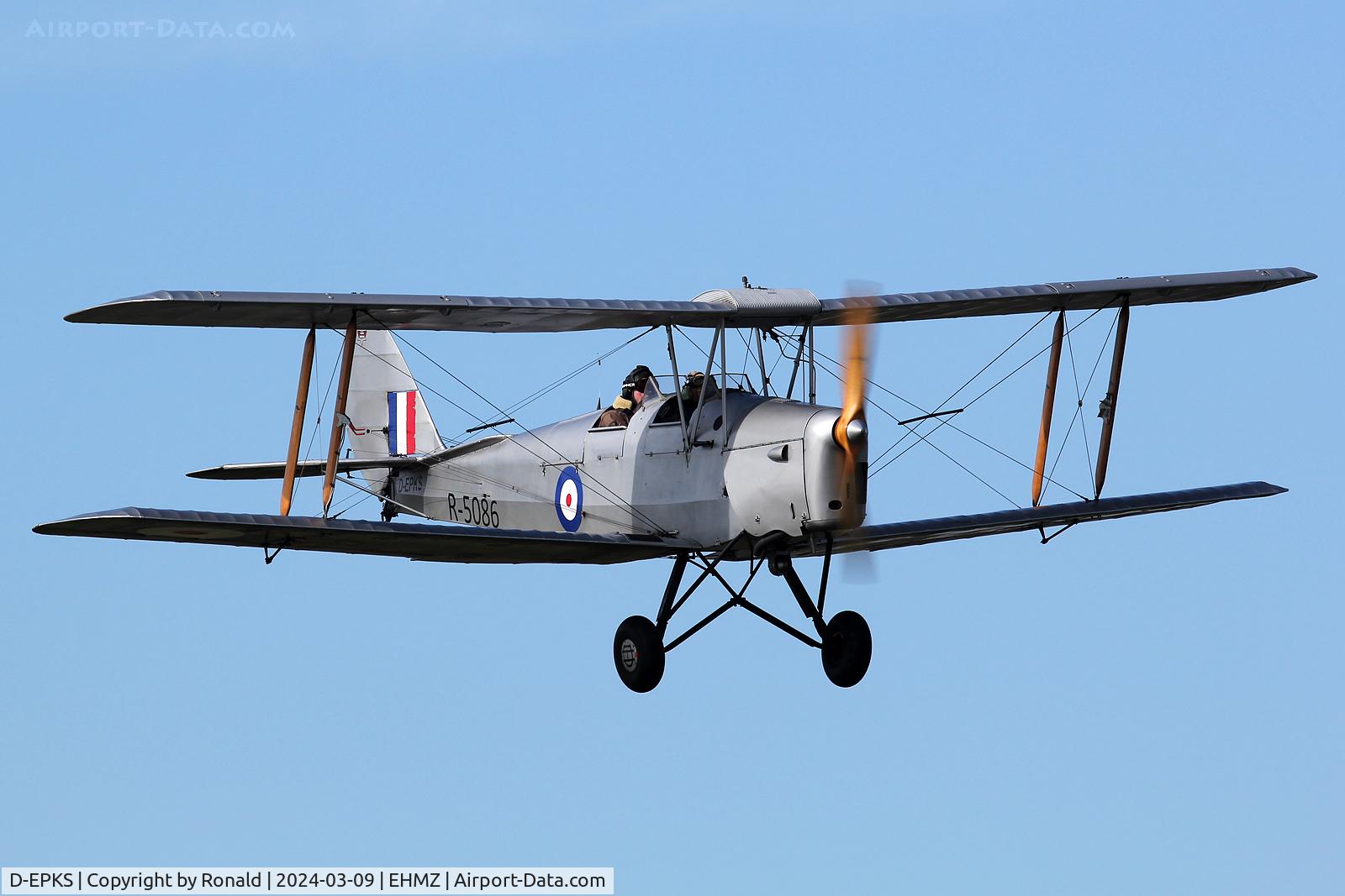 D-EPKS, 1939 De Havilland DH-82A Tiger Moth II C/N 82981, at ehmz