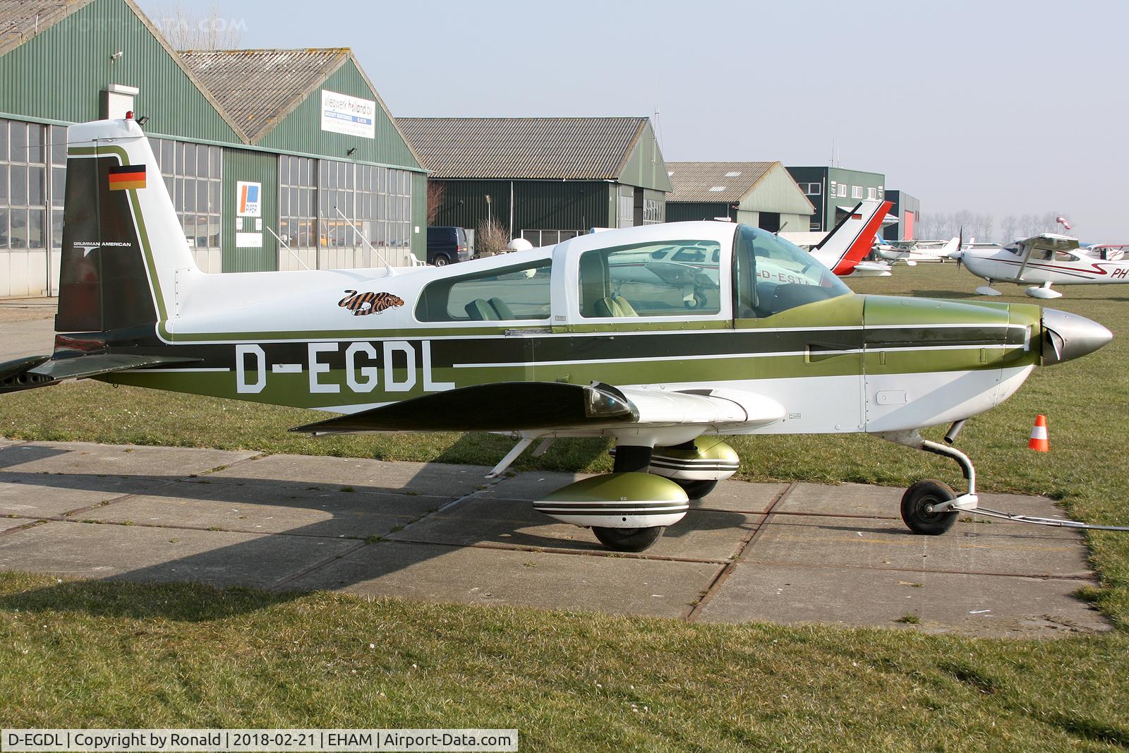 D-EGDL, 1978 Grumman AA-5B Tiger C/N AA5B-0779, at spl