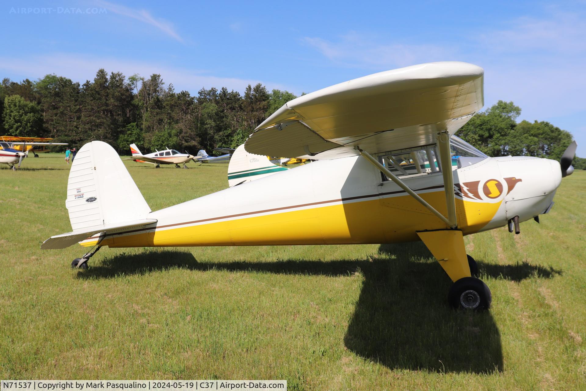 N71537, 1946 Luscombe 8A C/N 2964, Luscombe 8A