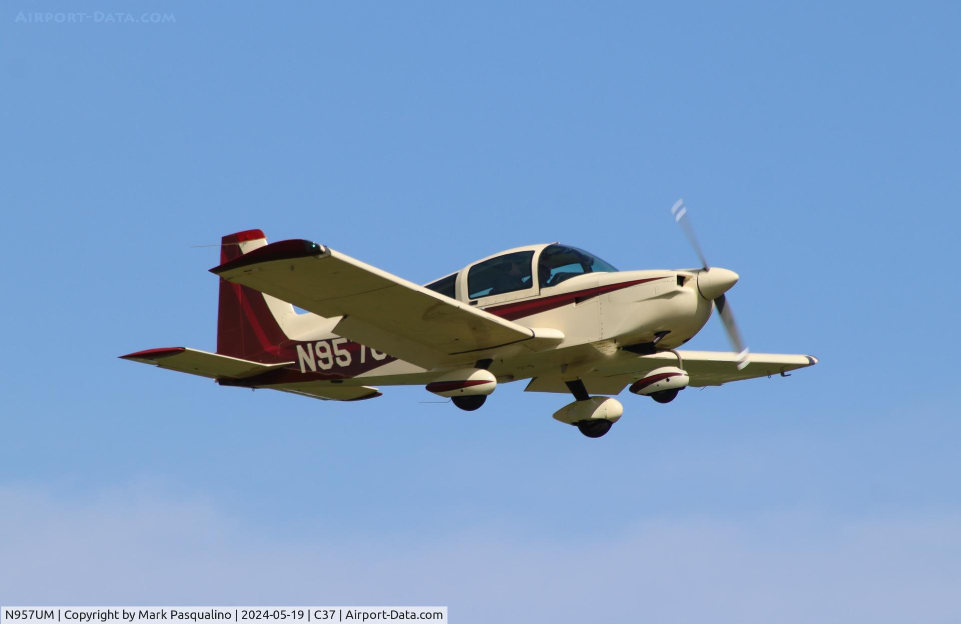 N957UM, 1990 American General AG-5B Tiger C/N 10002, American General AG-5B