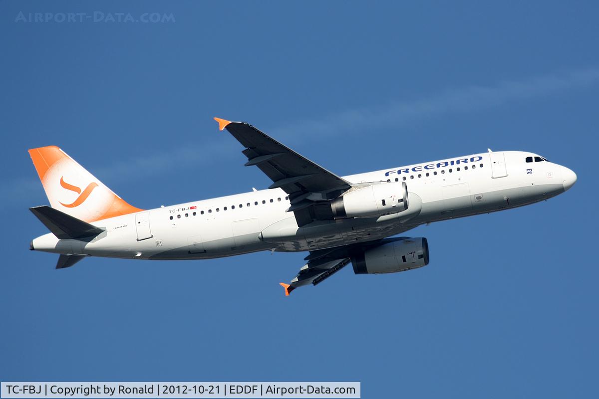 TC-FBJ, 1996 Airbus A320-232 C/N 580, at fra