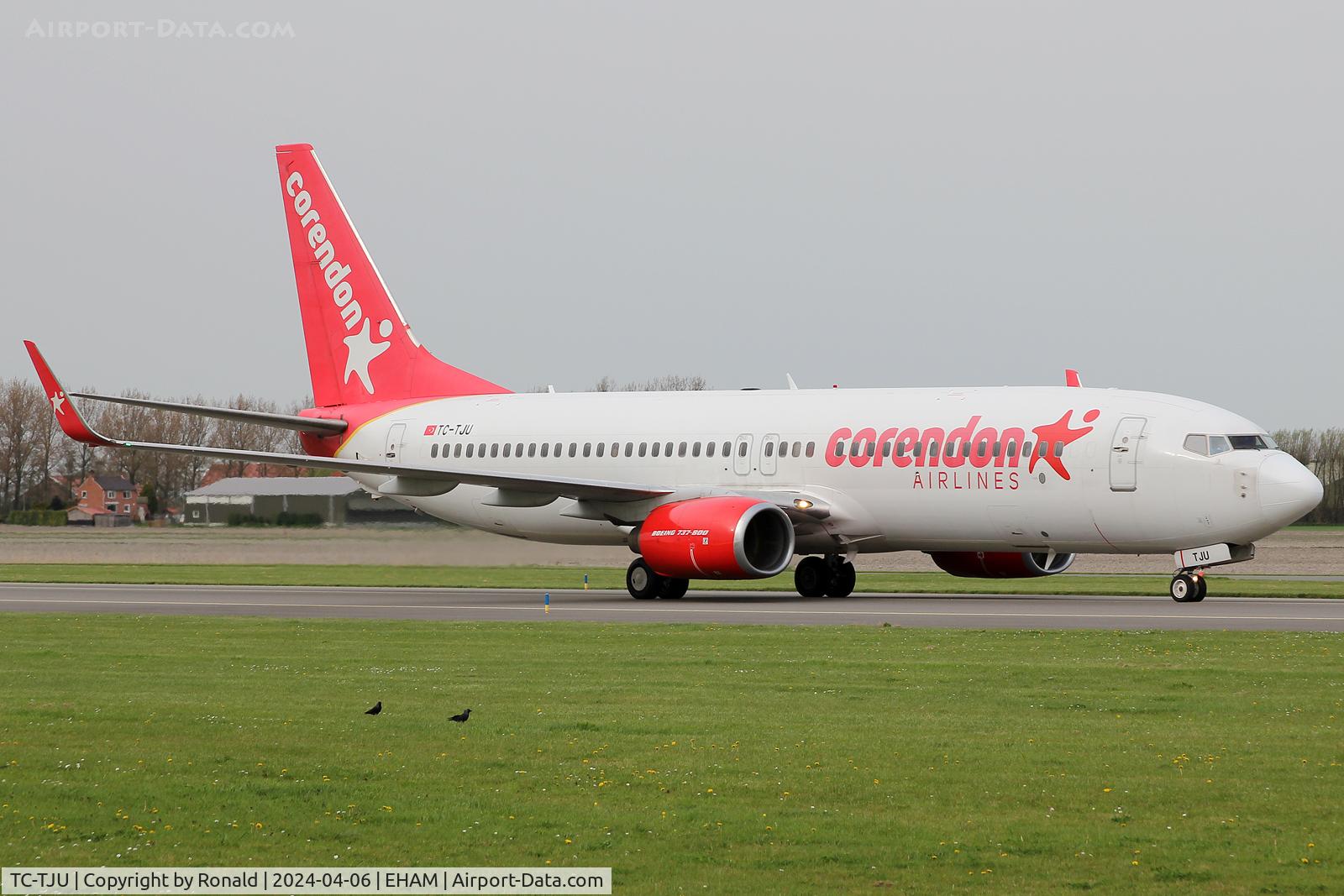 TC-TJU, 2008 Boeing 737-8HX C/N 29681, at eham