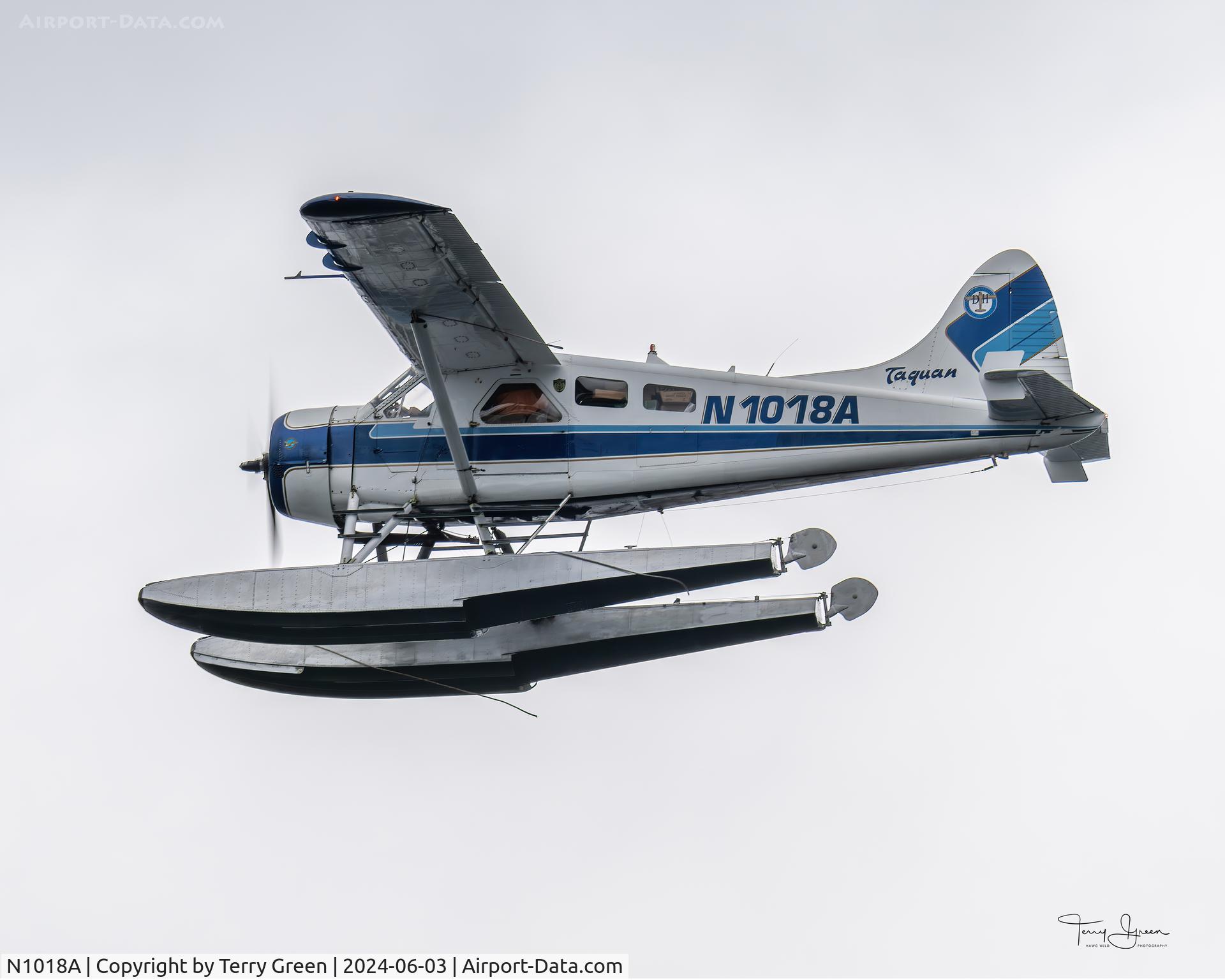 N1018A, 1951 De Havilland Canada Beaver DHC-2 C/N 178, TAQUAN AIR