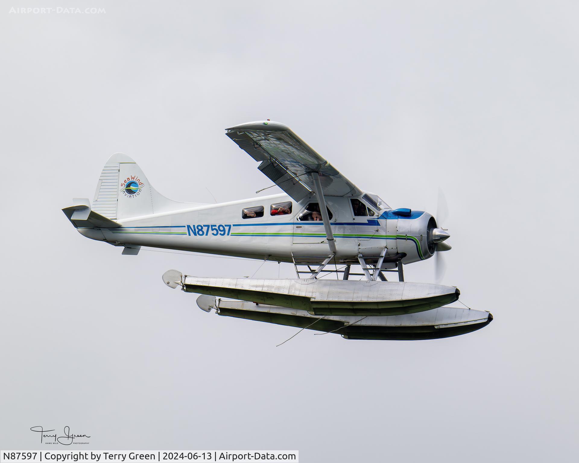 N87597, 1956 De Havilland Canada Beaver DHC-2 C/N 987, Sea Wind Aviation