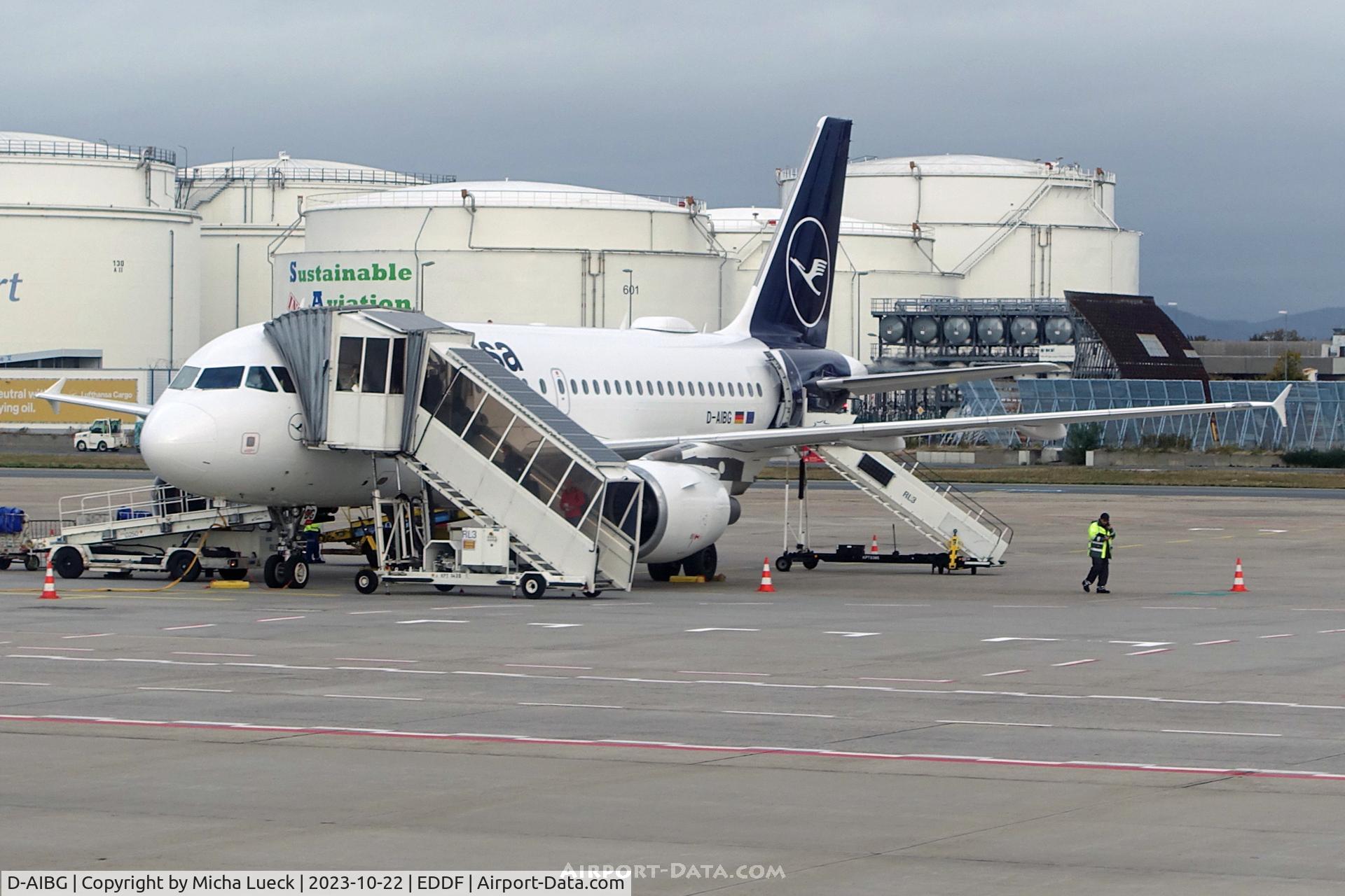 D-AIBG, 2011 Airbus A319-112 C/N 4841, At Frankfurt