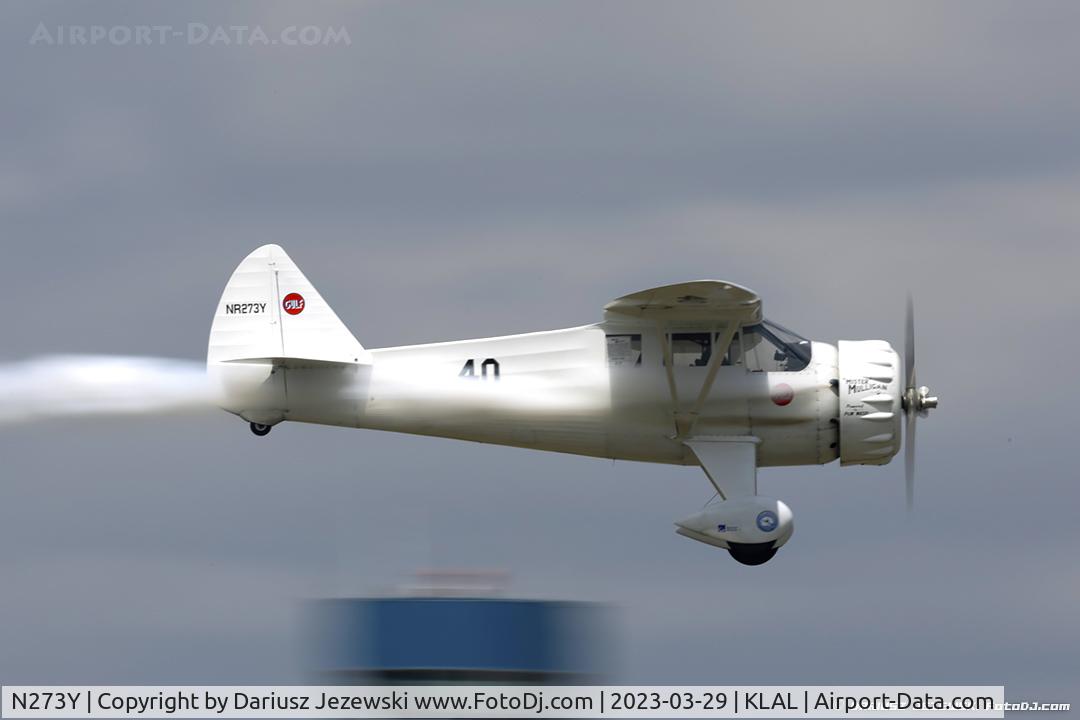 N273Y, 1985 Howard Aircraft DGA-6 Replica C/N JRY-02, Howard Aircraft DGA-6 (replica)  C/N JRY-02, N273Y