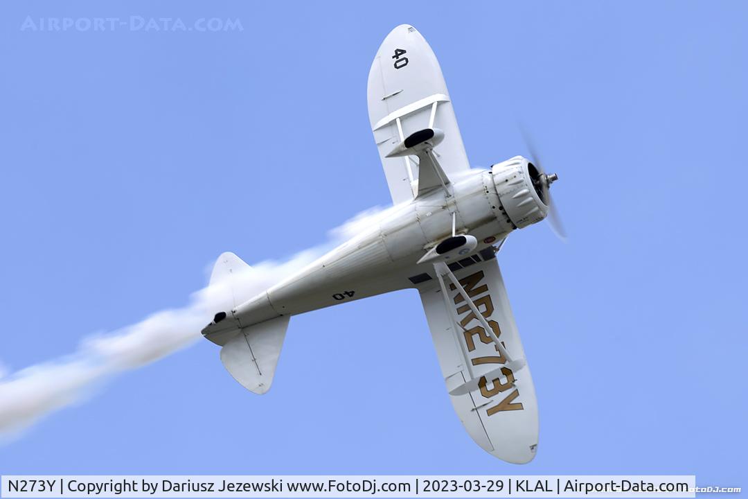 N273Y, 1985 Howard Aircraft DGA-6 Replica C/N JRY-02, Howard Aircraft DGA-6 (replica)  C/N JRY-02, N273Y