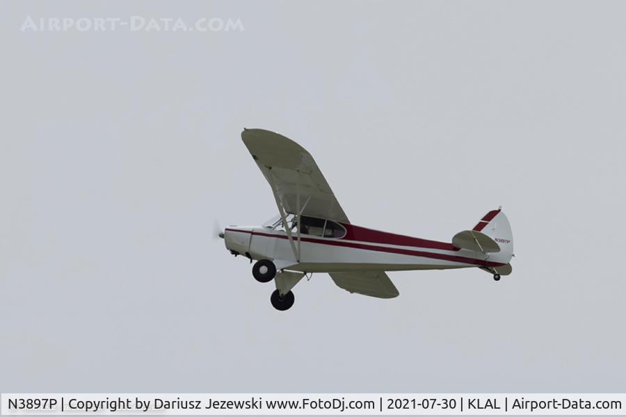 N3897P, 1955 Piper PA-18 C/N 18-4730, Piper PA-18 Super Cub  C/N 18-4730, N3897P