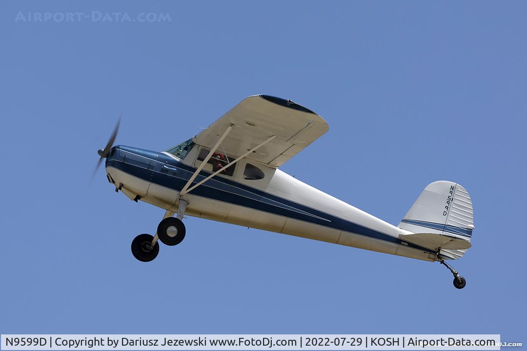 N9599D, 1946 Cessna 140 C/N 10204, Cessna 140  C/N 10204, N9599D