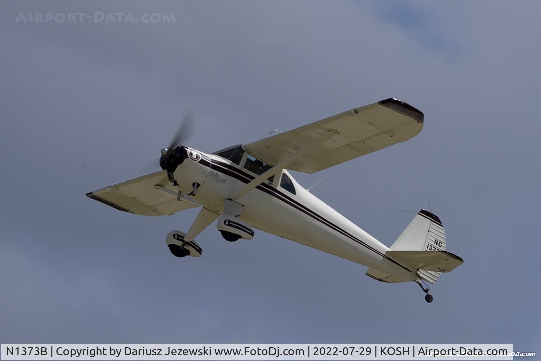 N1373B, 1948 Luscombe 8F Silvaire C/N 6000, Luscombe 8F Silvaire Deluxe  C/N 6000, NC1373B