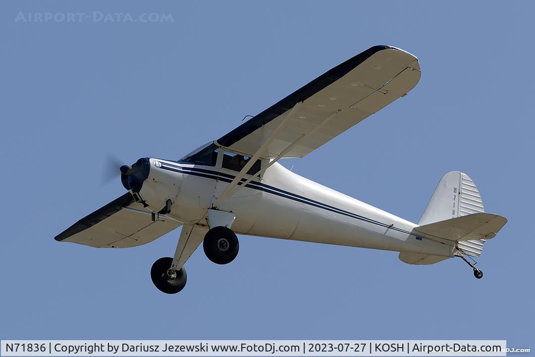 N71836, 1946 Luscombe 8A C/N 3263, Luscombe 8A Luscome Master  C/N 3263, N71836
