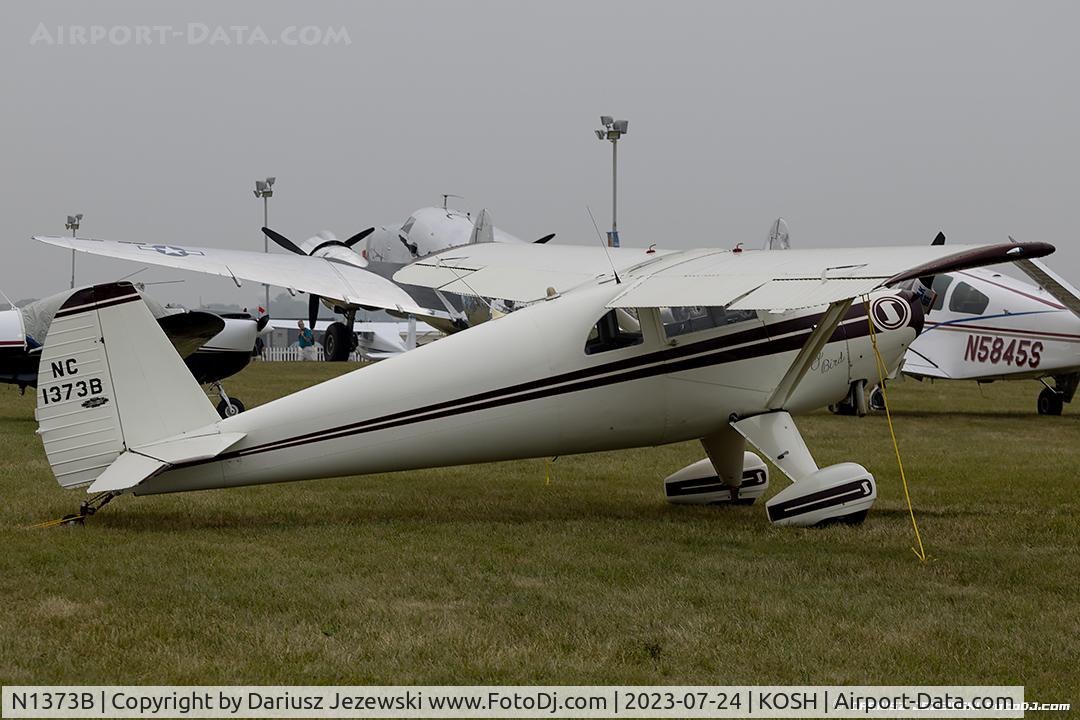N1373B, 1948 Luscombe 8F Silvaire C/N 6000, Luscombe 8F  C/N 6000, NC1373B