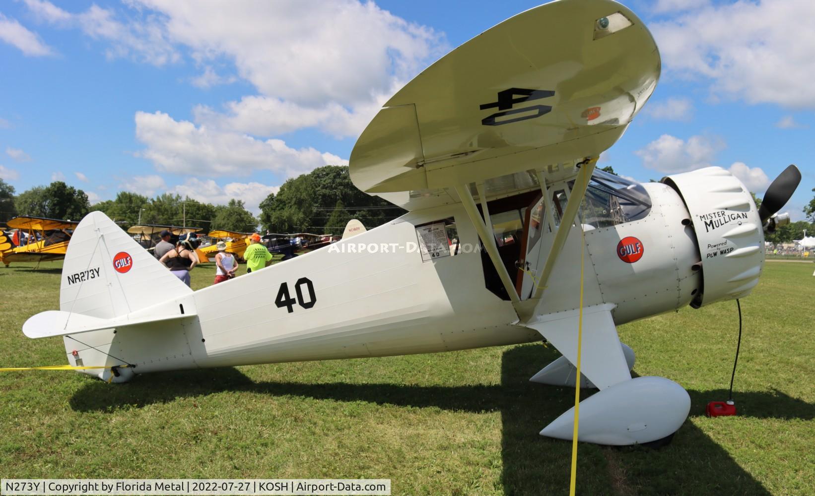 N273Y, 1985 Howard Aircraft DGA-6 Replica C/N JRY-02, DGA-6 zx