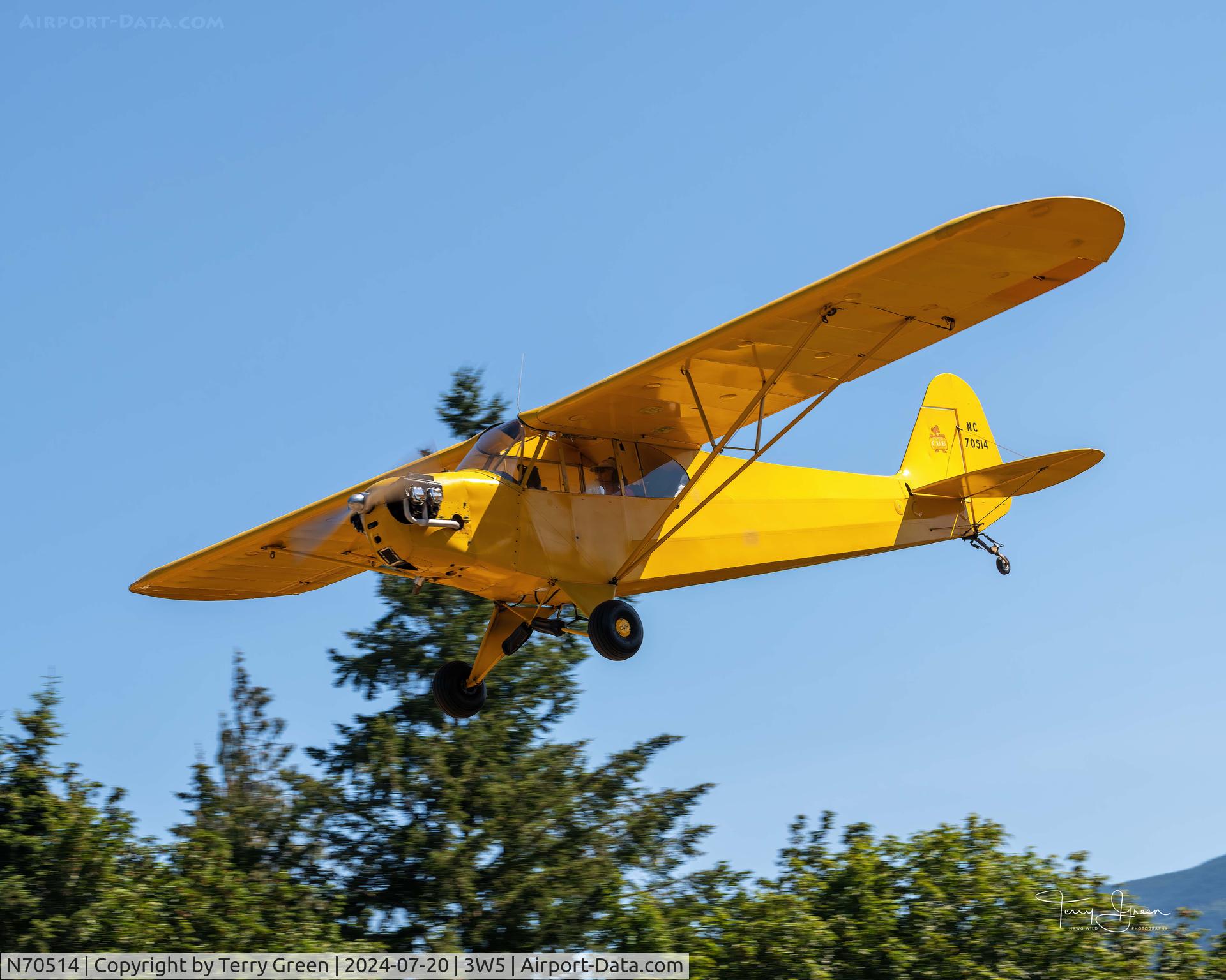 N70514, 1946 Piper J3C-65 Cub C/N 17519, 2024 CONCRETE FLY-IN