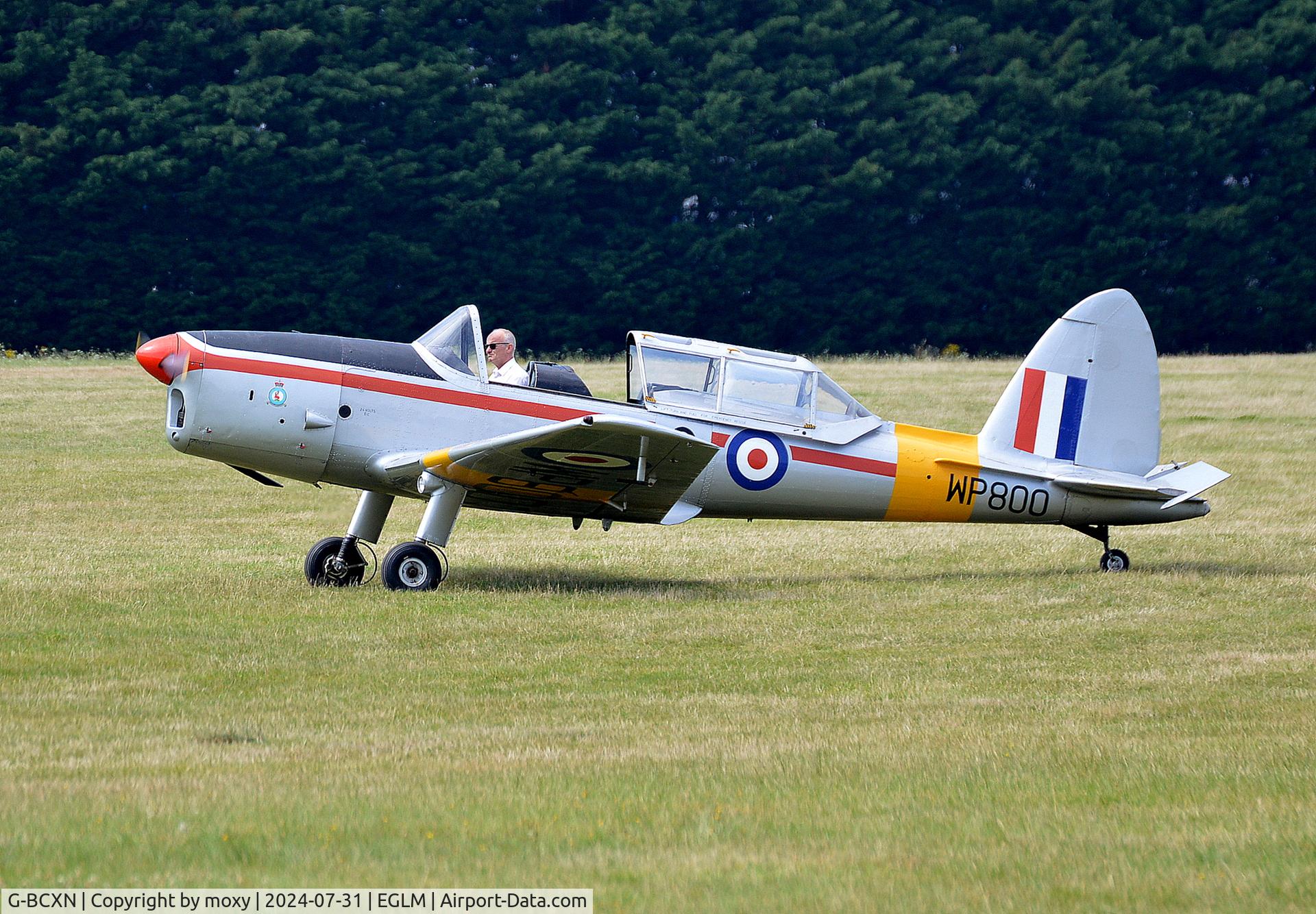 G-BCXN, 1952 De Havilland DHC-1 Chipmunk T.10 C/N C1/0692, De Havilland DHC-1 Chipmunk T.10 at White Waltham.