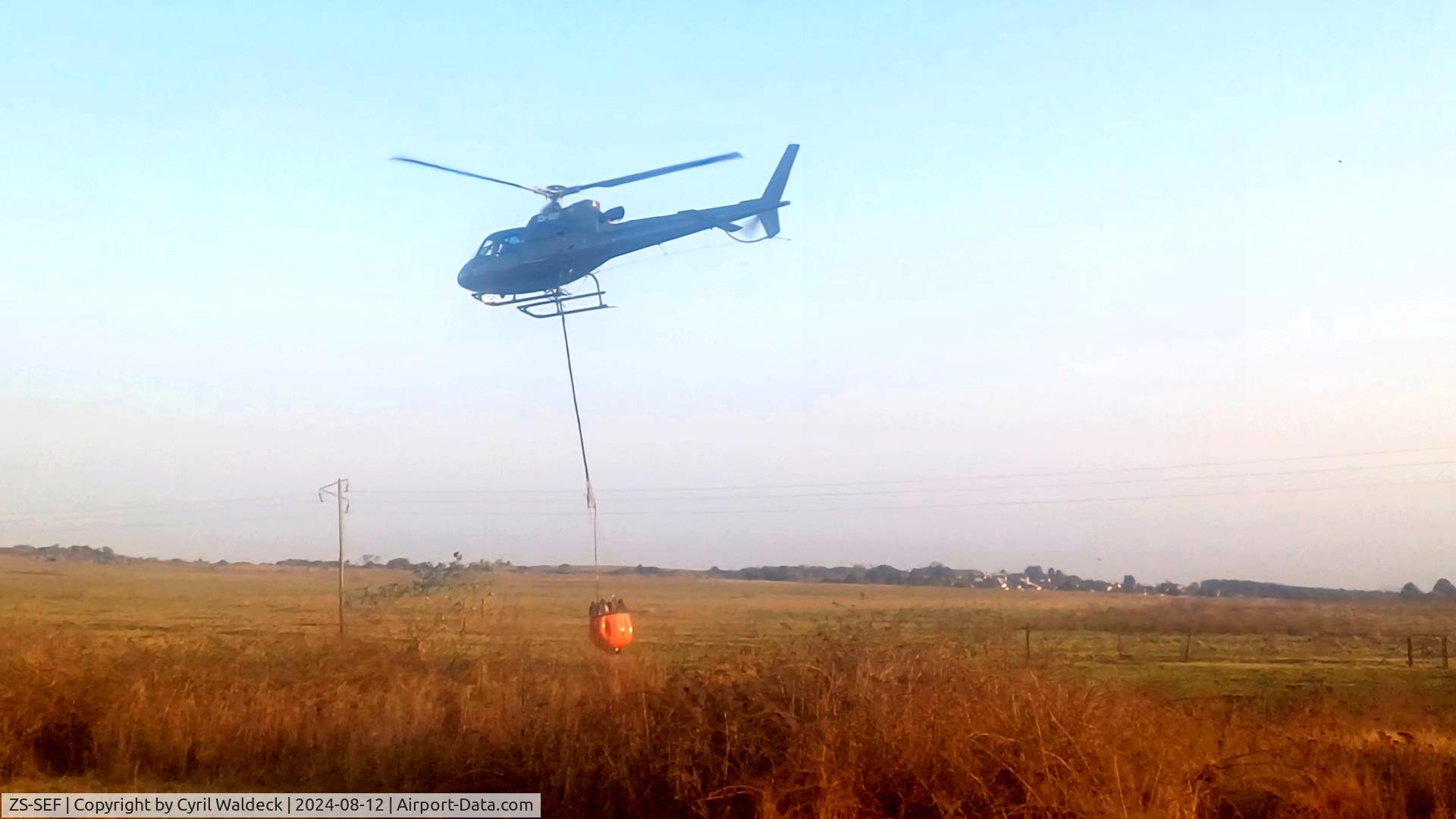 ZS-SEF, 2006 Aerospatiale AS-350B-3 Ecureuil C/N 4095, Very efficient firefighting together with ZT-REY. Taken in Graskop, Mpumalanga, South Africa