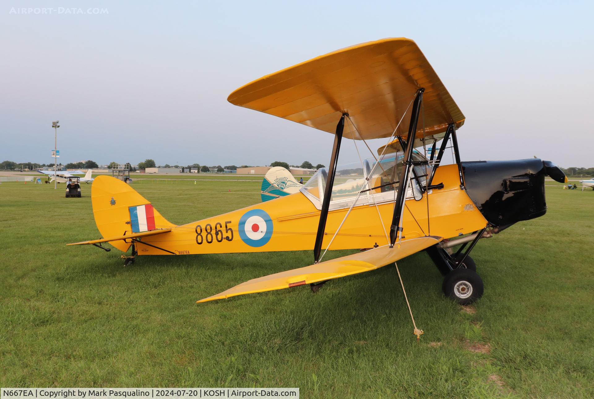 N667EA, 1942 De Havilland Canada DH-82C Tiger Moth C/N DHC1667, De Havilland DH-82C