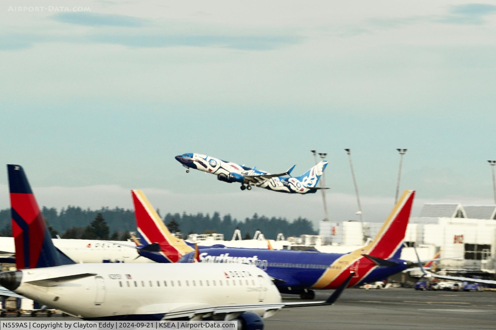 N559AS, 2006 Boeing 737-890 C/N 35178, SEA 2024.