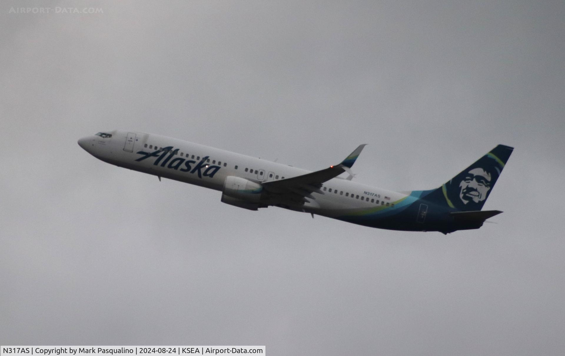 N317AS, 2003 Boeing 737-990 C/N 30856, Boeing 737-990