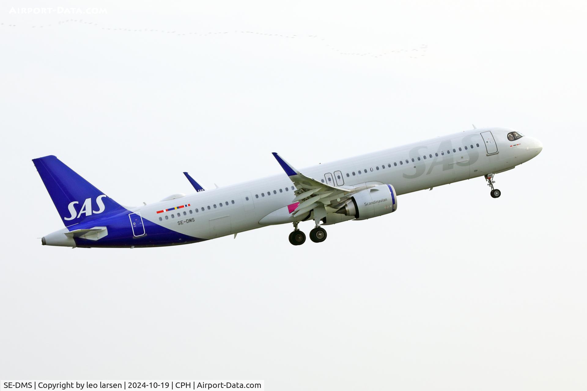 SE-DMS, 2021 Airbus A321-253NX C/N 10500, Copenhagen 19.10.2024 with bird migration on top