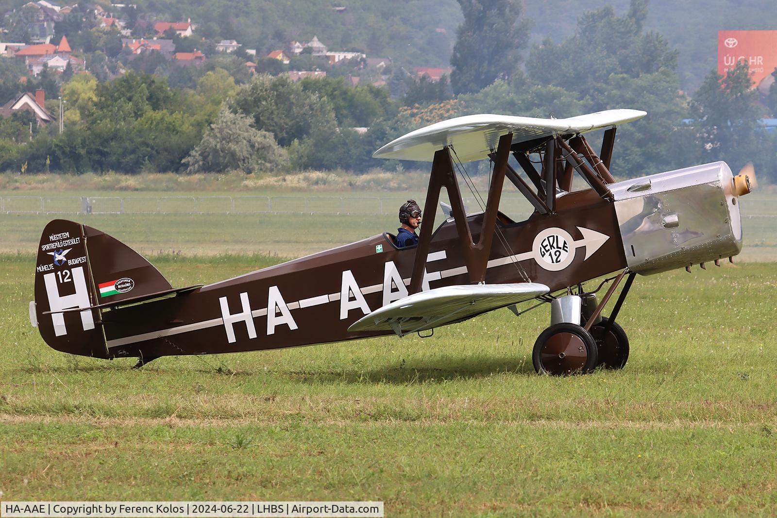HA-AAE, 1988 Bánhidi Gerle 13 - Replica C/N F-04, hunhun