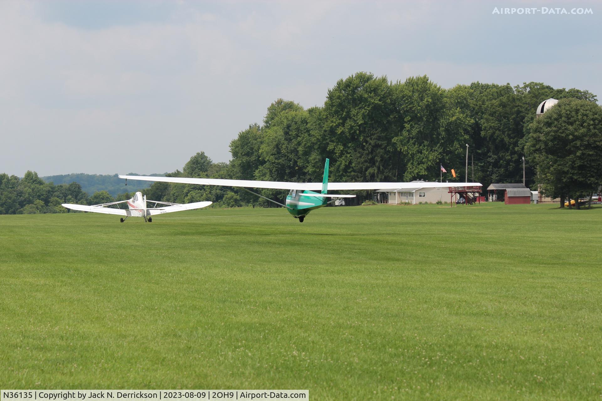 N36135, 1981 Schweizer SGS 2-33A C/N 564, First Solo