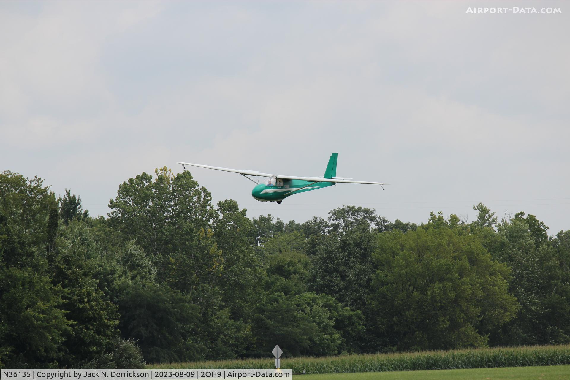 N36135, 1981 Schweizer SGS 2-33A C/N 564, First Solo