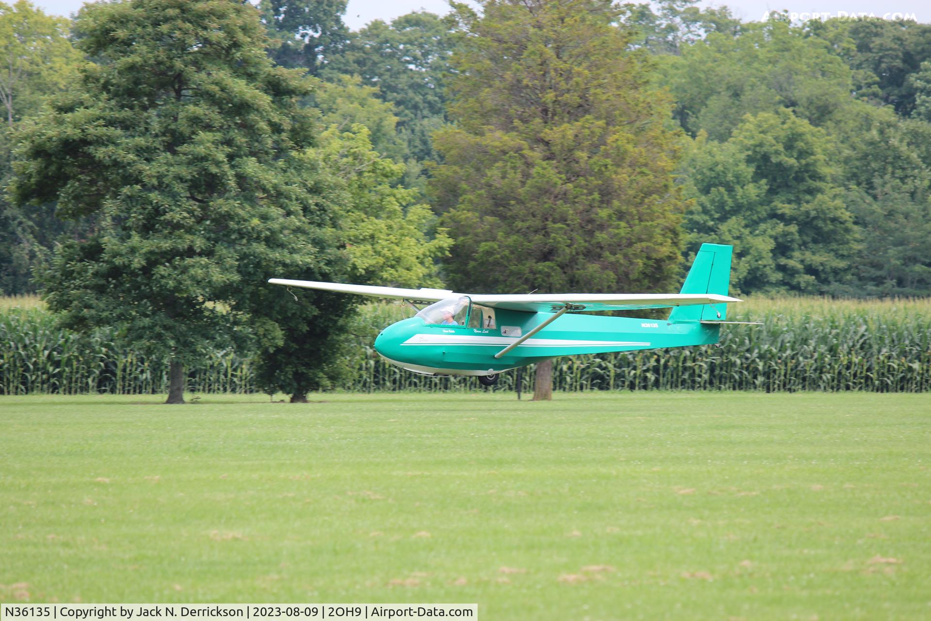 N36135, 1981 Schweizer SGS 2-33A C/N 564, First Solo