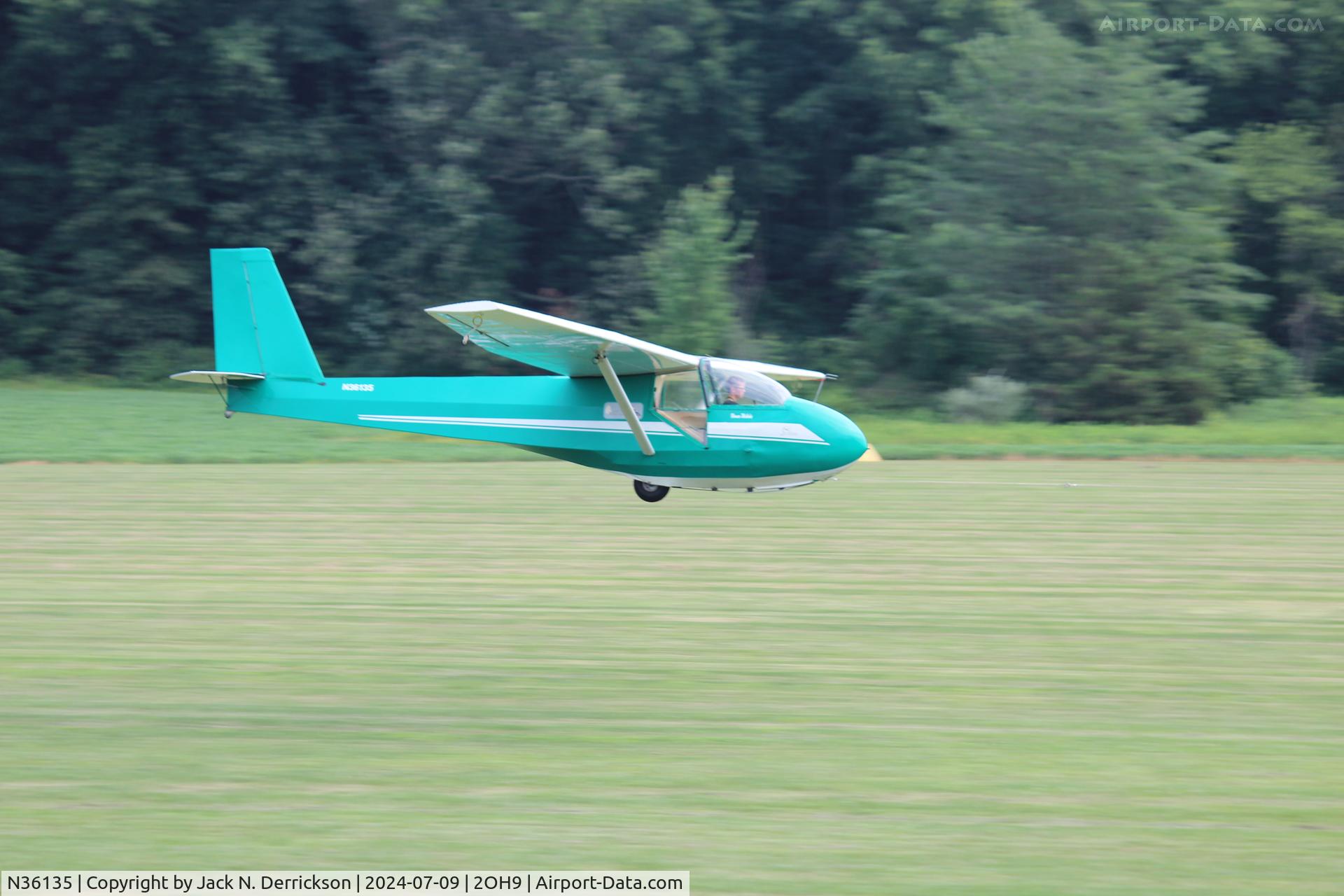N36135, 1981 Schweizer SGS 2-33A C/N 564, Ace in the 2-33, Youth Camp 2024.