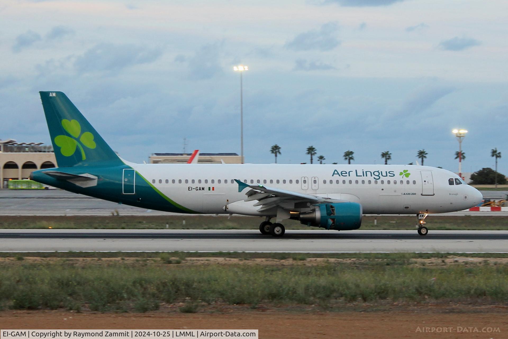 EI-GAM, 2009 Airbus A320-214 C/N 3823, A320 EI-GAM Aer Lingus