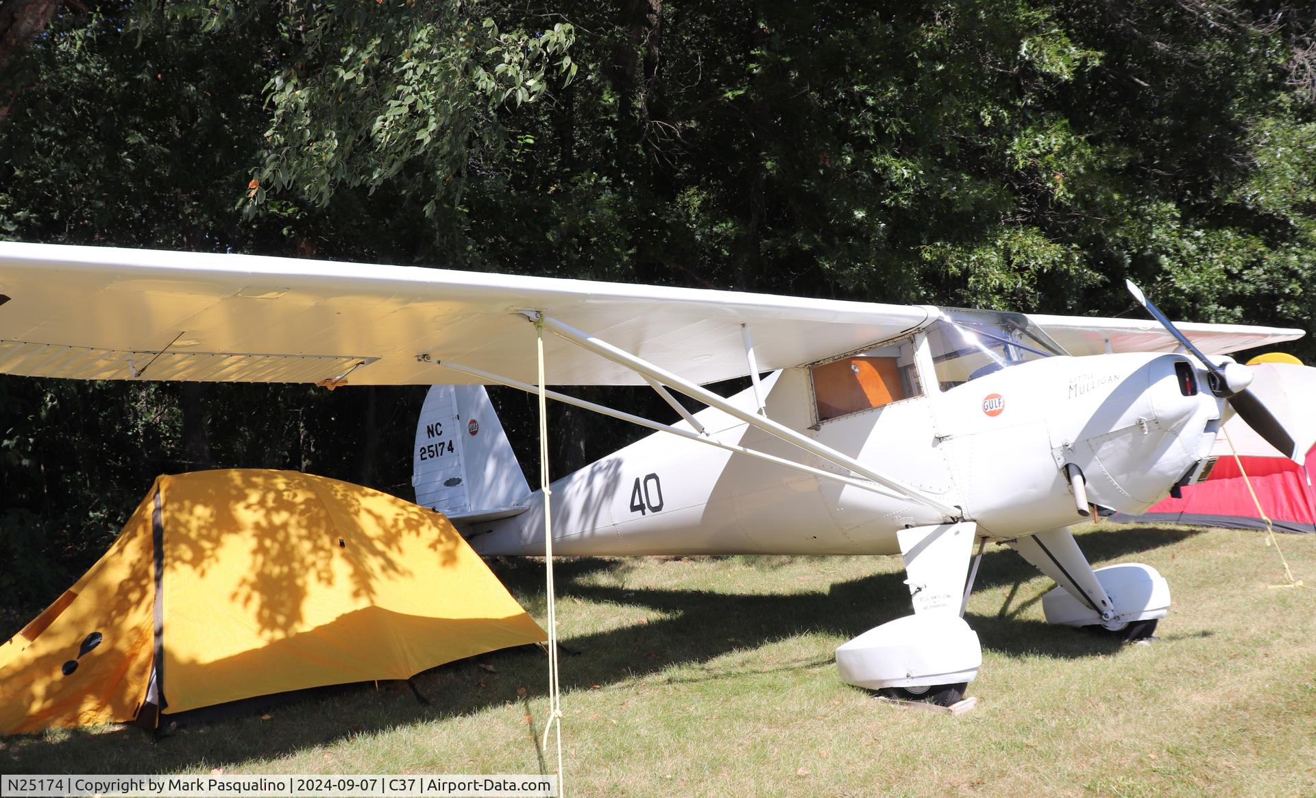 N25174, 1939 Luscombe 8A Silvaire C/N 1098, Luscombe 8A