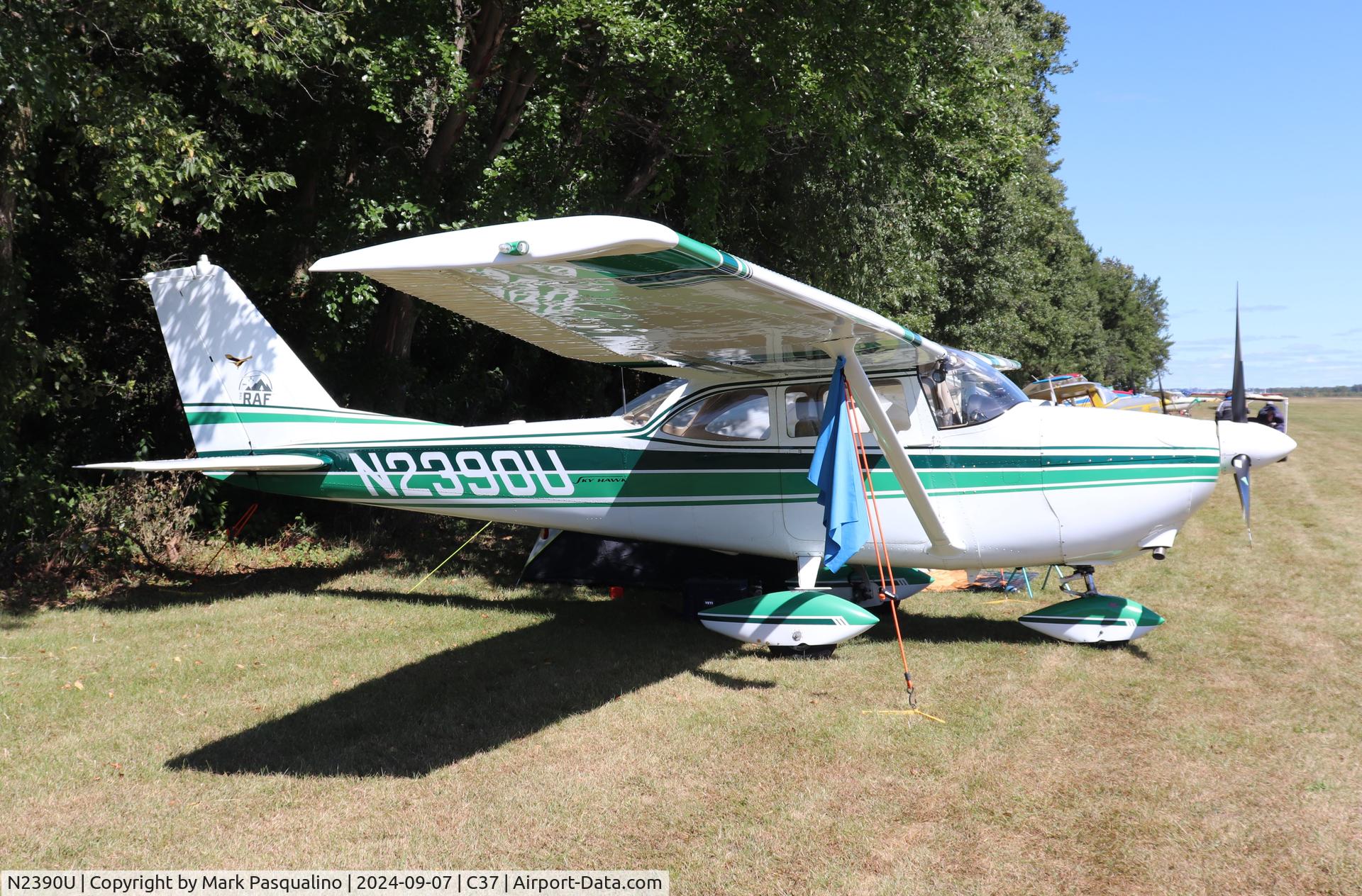 N2390U, 1962 Cessna 172D C/N 17249990, Cessna 172D