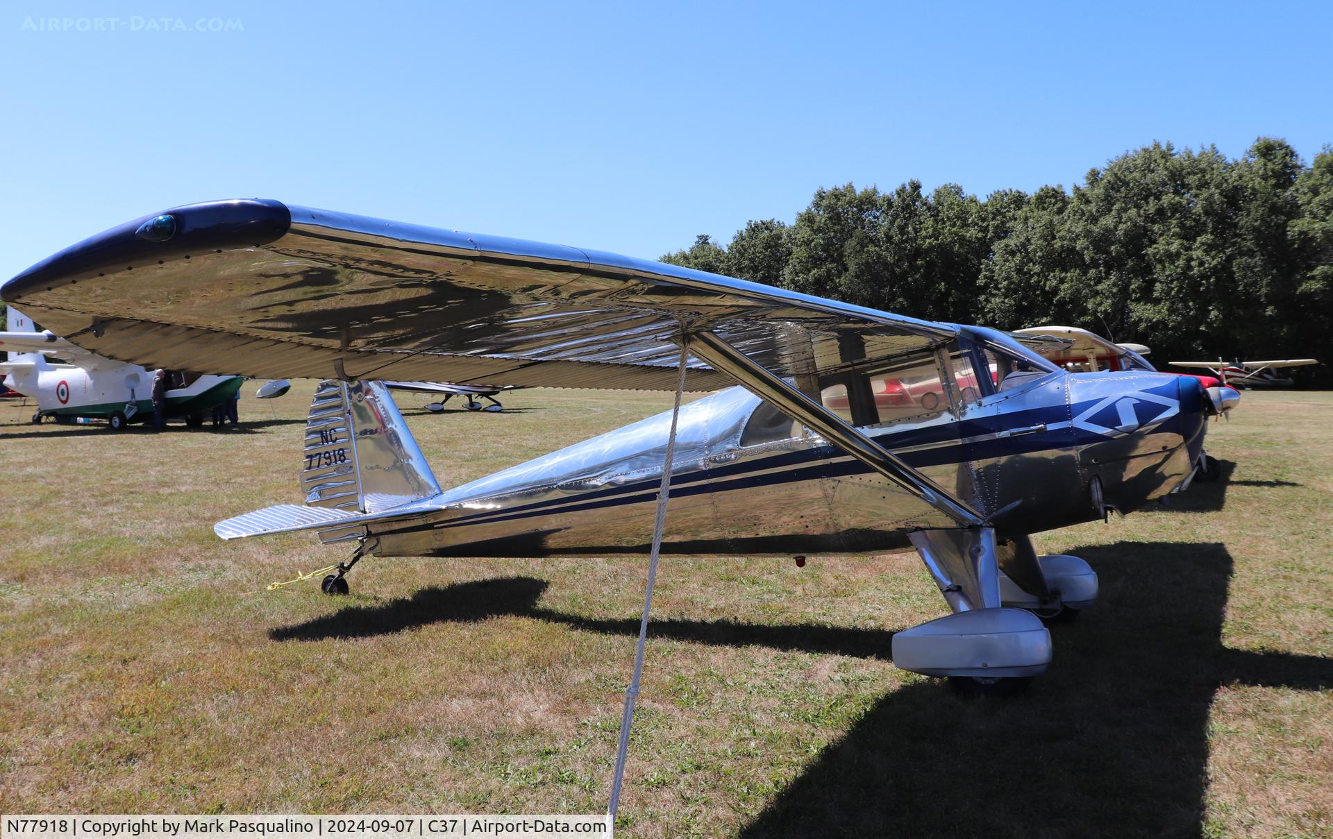 N77918, 1946 Luscombe 8A C/N 3645, Luscombe 8A