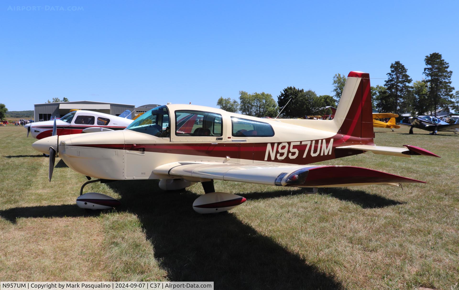 N957UM, 1990 American General AG-5B Tiger C/N 10002, American General AG-5B