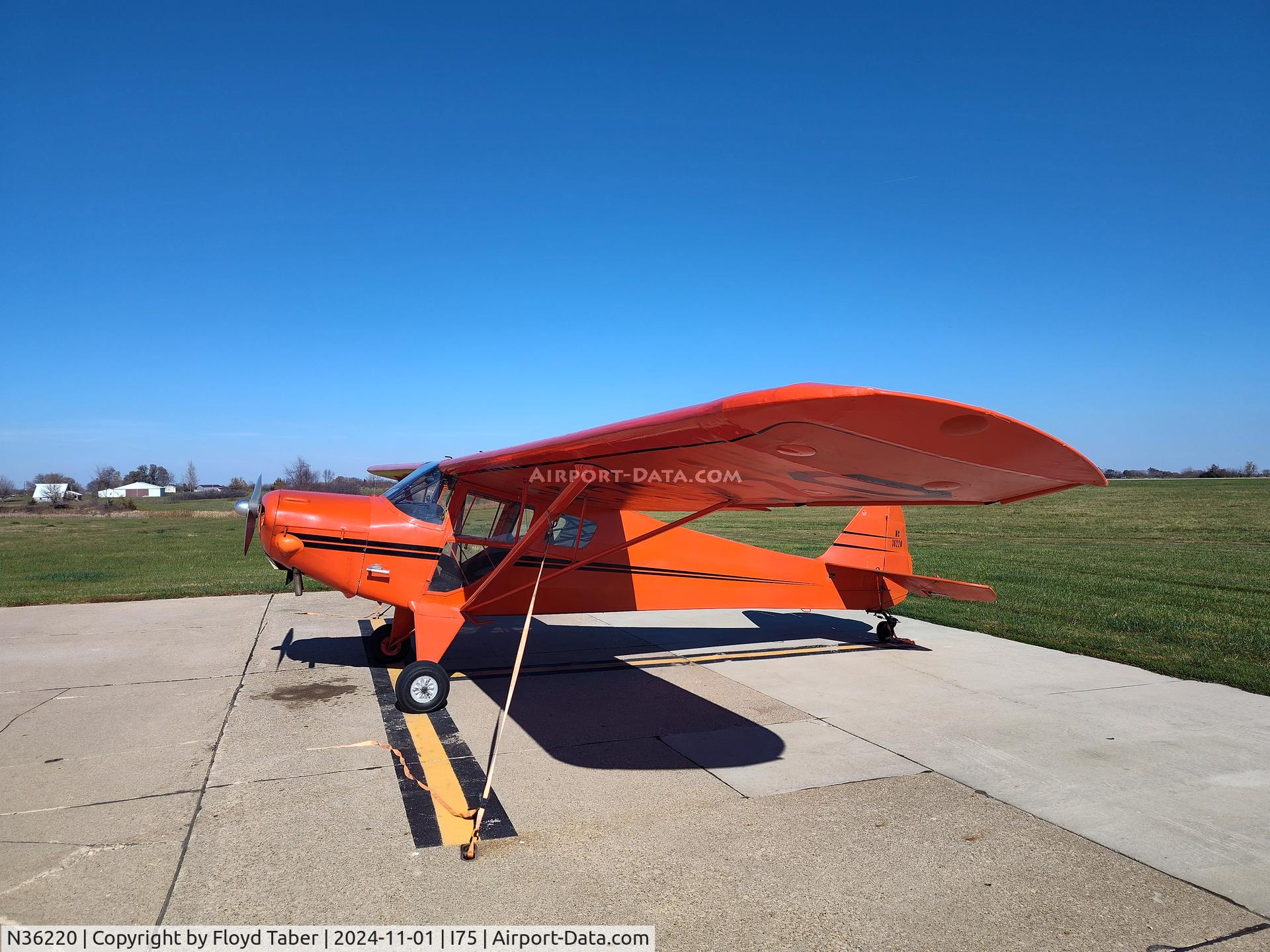 N36220, 1941 Taylorcraft BL12-65 C/N 3174, Tied down on the ramp