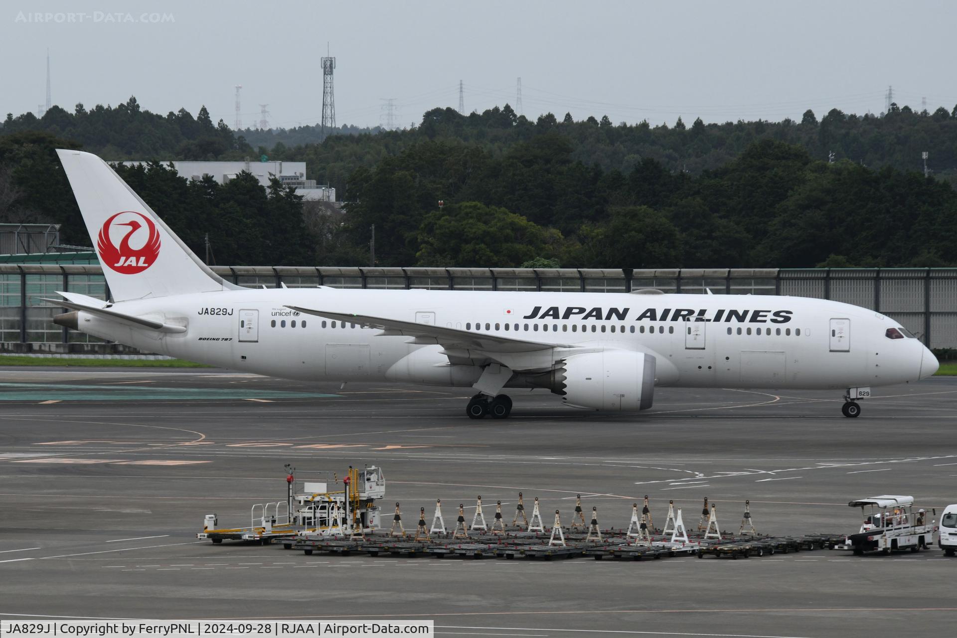 JA829J, 2012 Boeing 787-8 Dreamliner C/N 34839, JAL B788 arriving