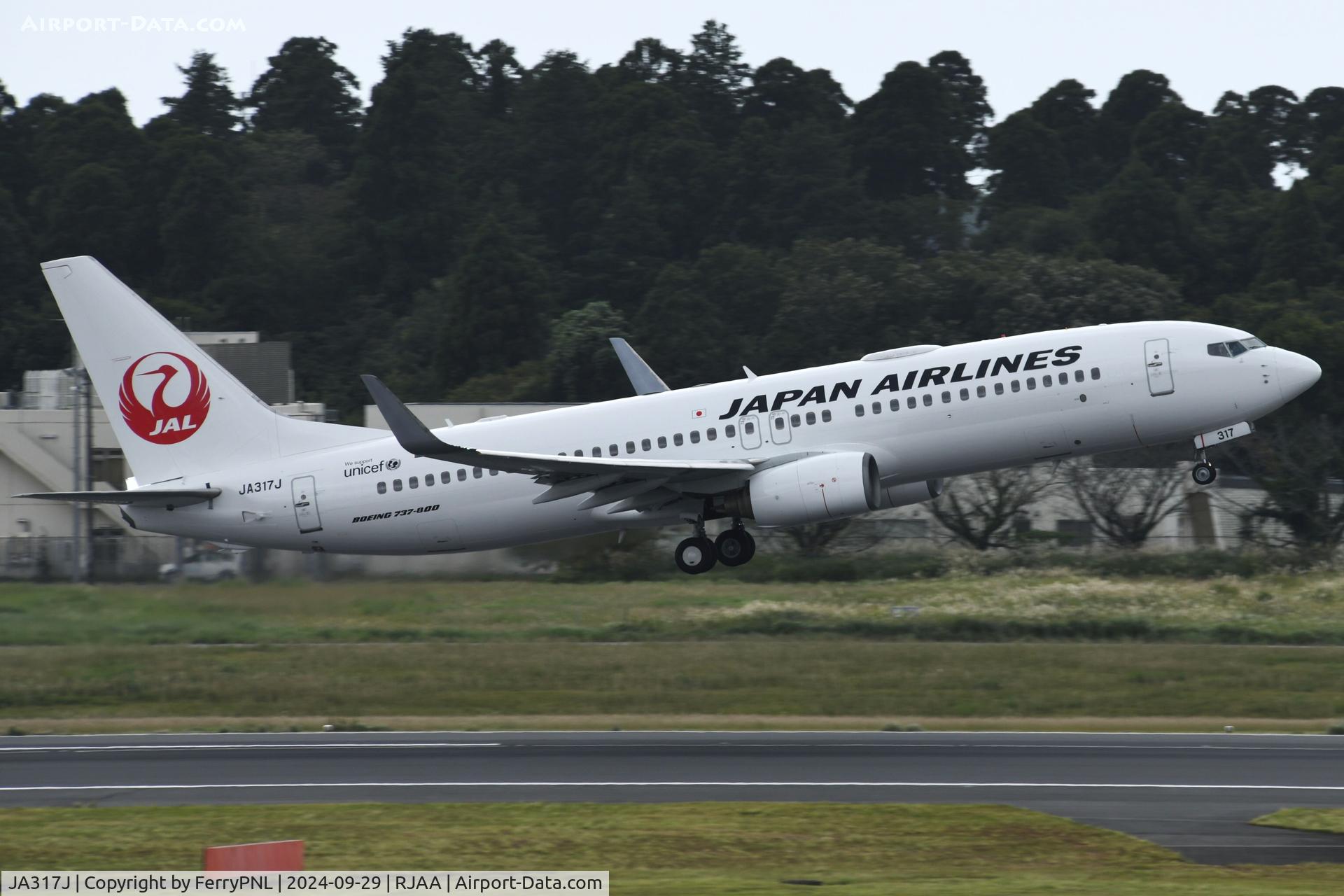 JA317J, 2009 Boeing 737-846 C/N 35346, Japan Airlines B738 taking-off