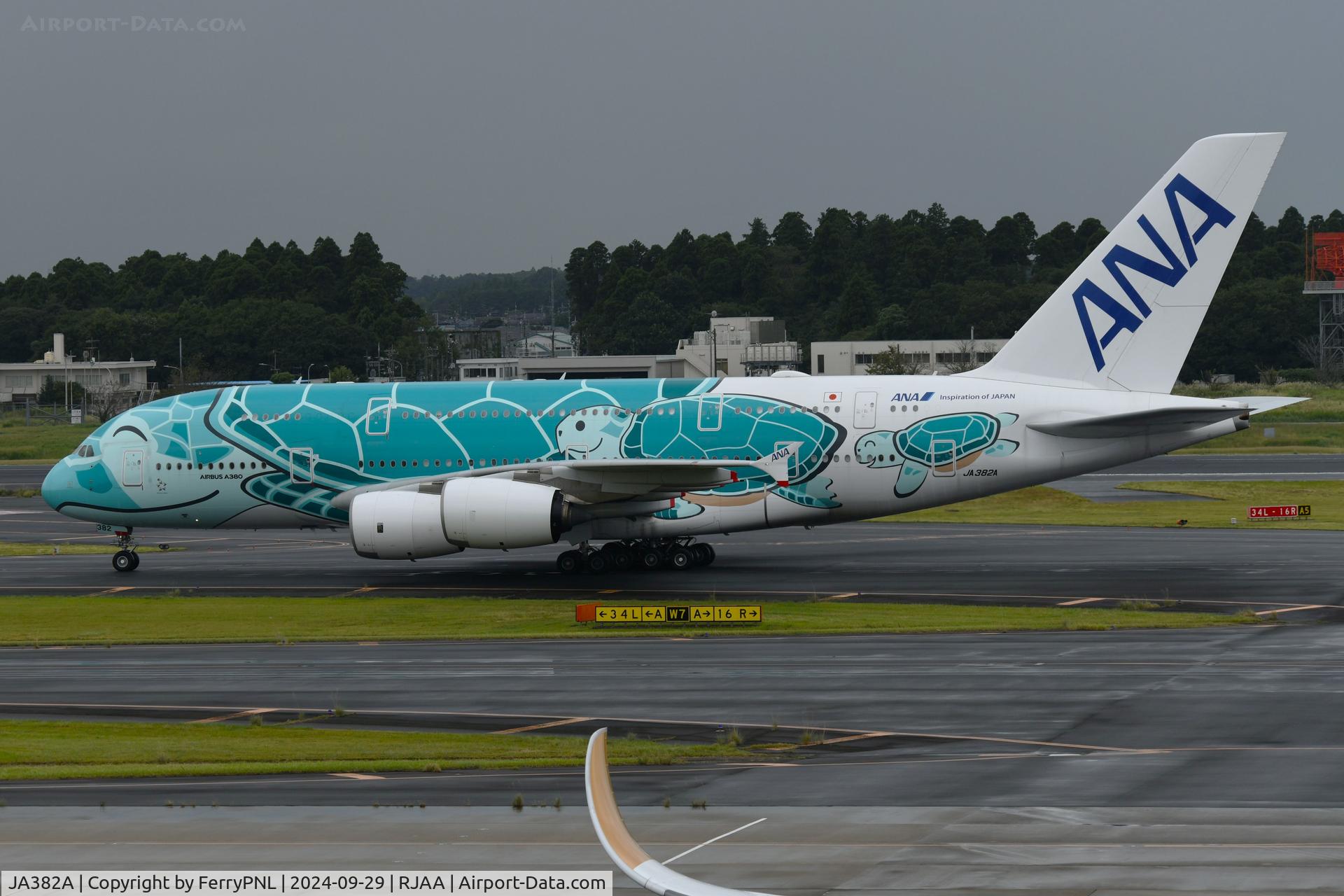 JA382A, 2018 Airbus A380-841 C/N 263, Arrival of the green turtle, ANA A388, from HNL