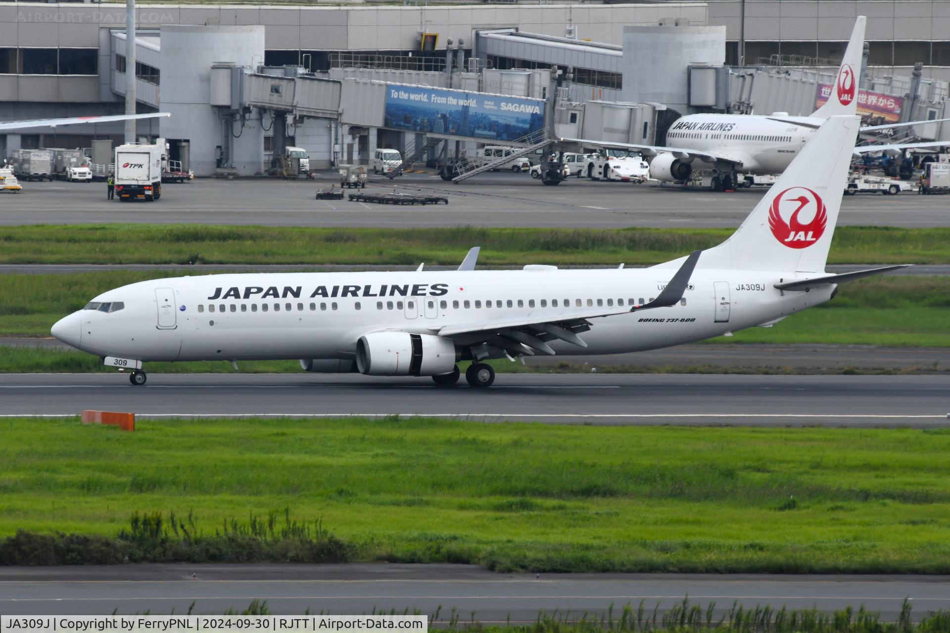 JA309J, 2008 Boeing 737-846 C/N 35338, Landing of JAL B738