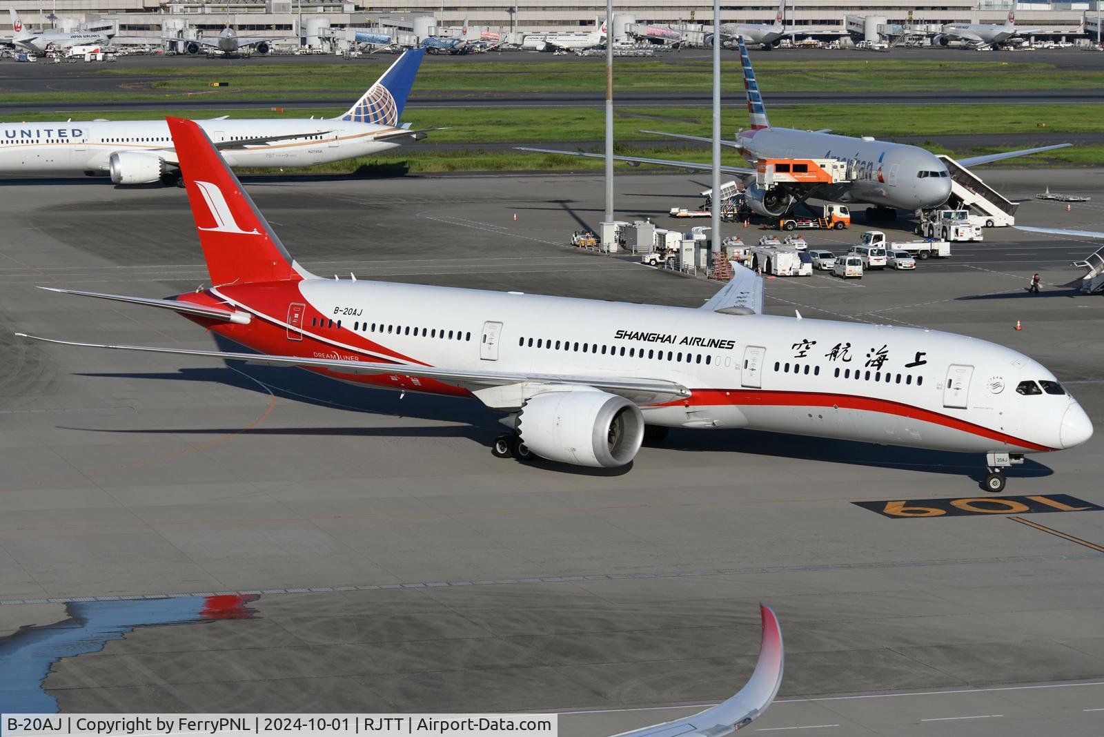 B-20AJ, 2019 Boeing 787-9 Dreamliner C/N 63713, Shanghai B789 arriving at T3