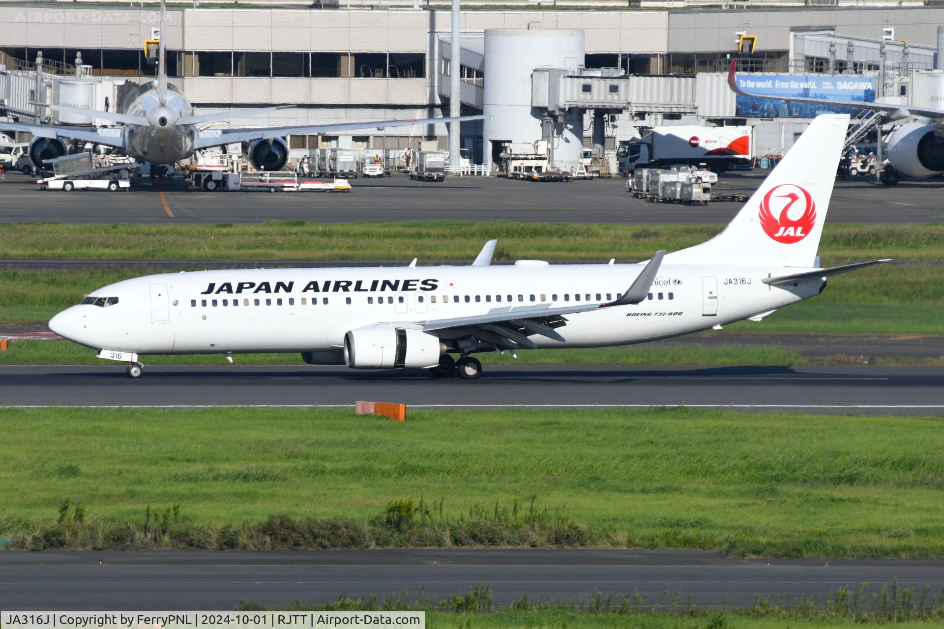 JA316J, 2008 Boeing 737-846 C/N 35345, JAL B738 landing