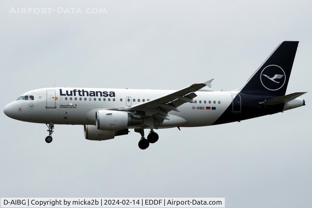 D-AIBG, 2011 Airbus A319-112 C/N 4841, Landing