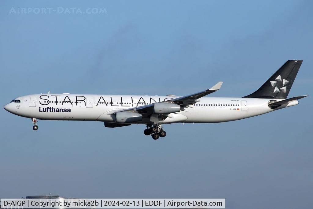 D-AIGP, 1998 Airbus A340-313X C/N 252, Landing