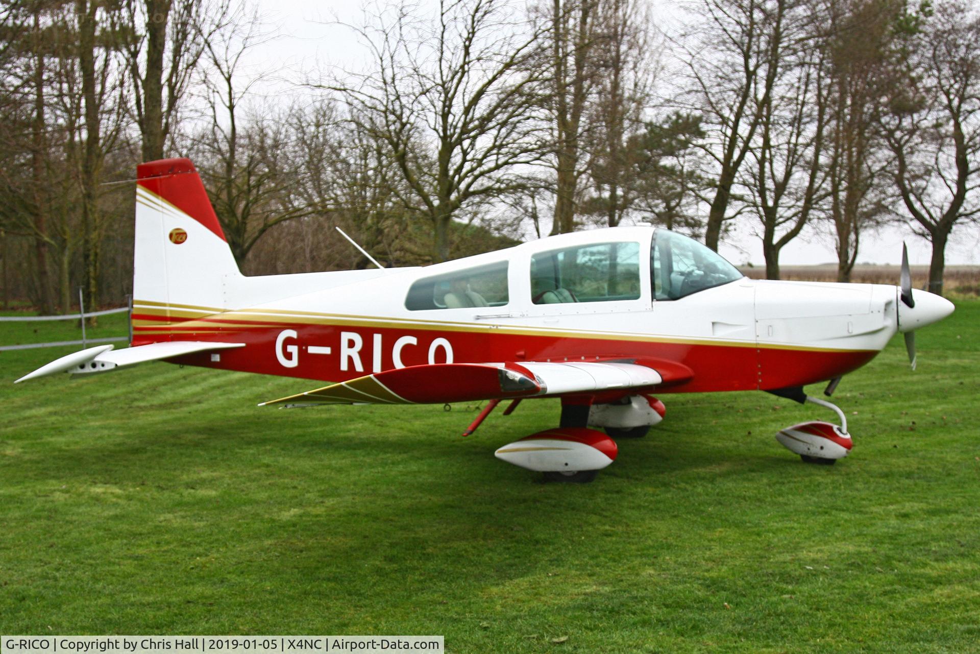 G-RICO, 1993 American General AG-5B Tiger C/N 10162, North Coates Brass Monkey fly in 05/01/19