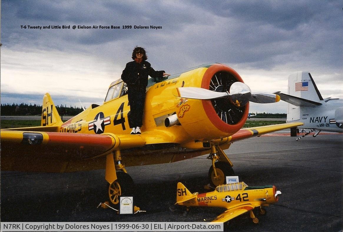 N7RK, North American AT-6D C/N 42-84779, Tweety and Little Bird @ Eielson AFB, Dolores Noyes 1999