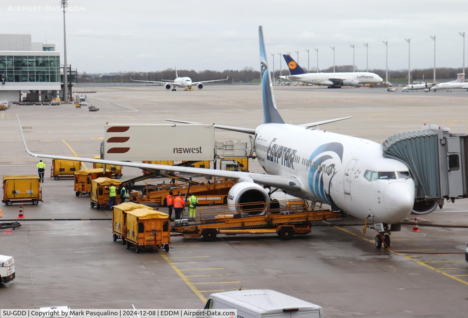 SU-GDD, 2009 Boeing 737-866 C/N 35566, Boeing 737-866