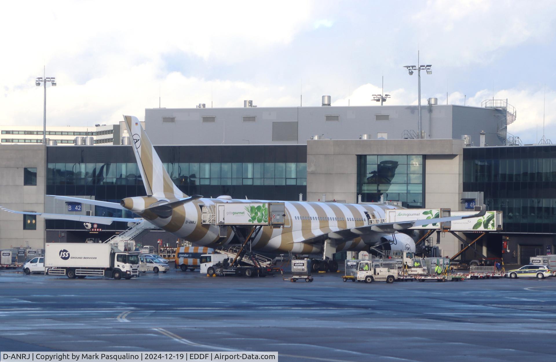 D-ANRJ, Airbus A330-941 C/N 2033, Airbus A350-941
