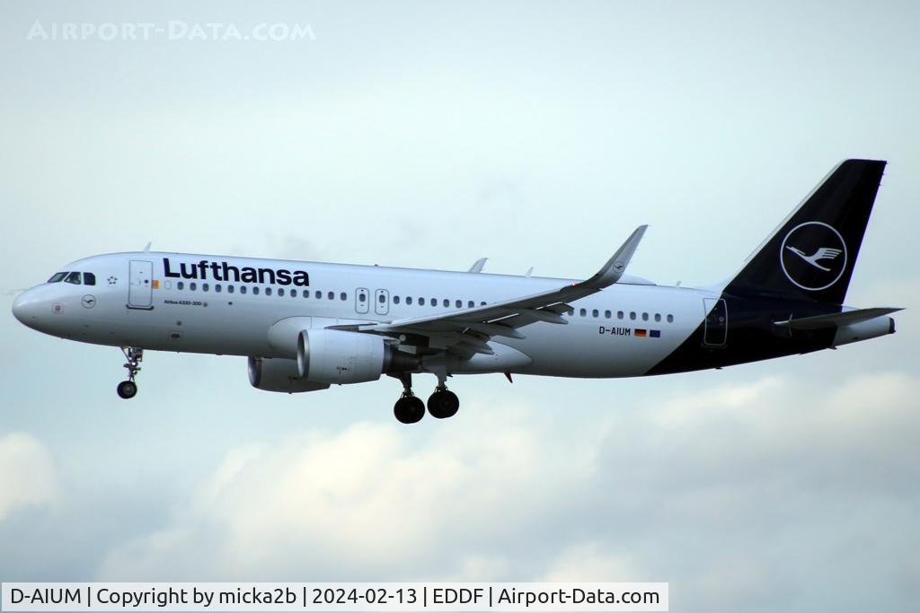 D-AIUM, 2015 Airbus A320-214 C/N 6577, Landing