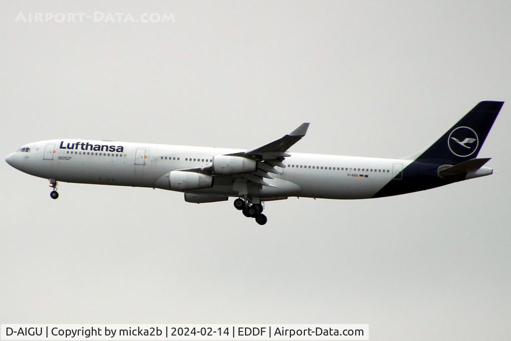 D-AIGU, 2000 Airbus A340-313 C/N 321, Landing