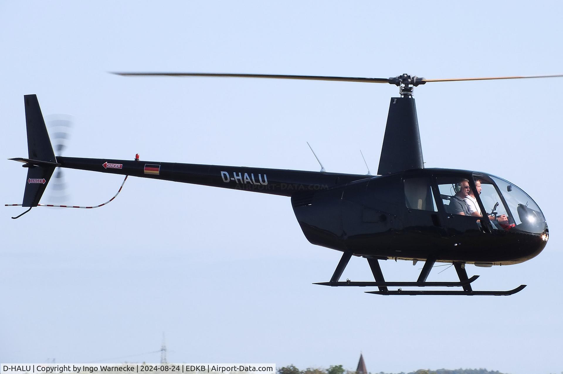 D-HALU, 2003 Robinson R44  Raven C/N 1310, Robinson R44 Raven at Bonn-Hangelar airfield during the Grumman Fly-in 2024